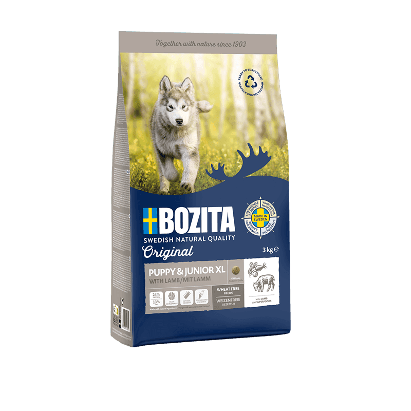 Bozita Original Puppy & Junior XL, jagnięcina - bez pszenicy