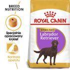 Royal Canin Sterilised Labrador Retriever Adult