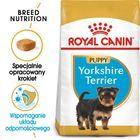 Royal Canin Yorkshire Terrier Puppy