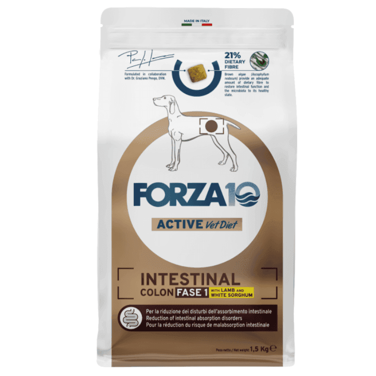 Forza 10 Intestinal Colon, Phase 1, jagnięcina