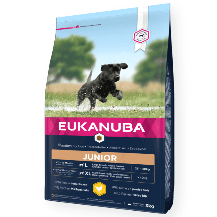 Eukanuba Junior Large Breed, kurczak