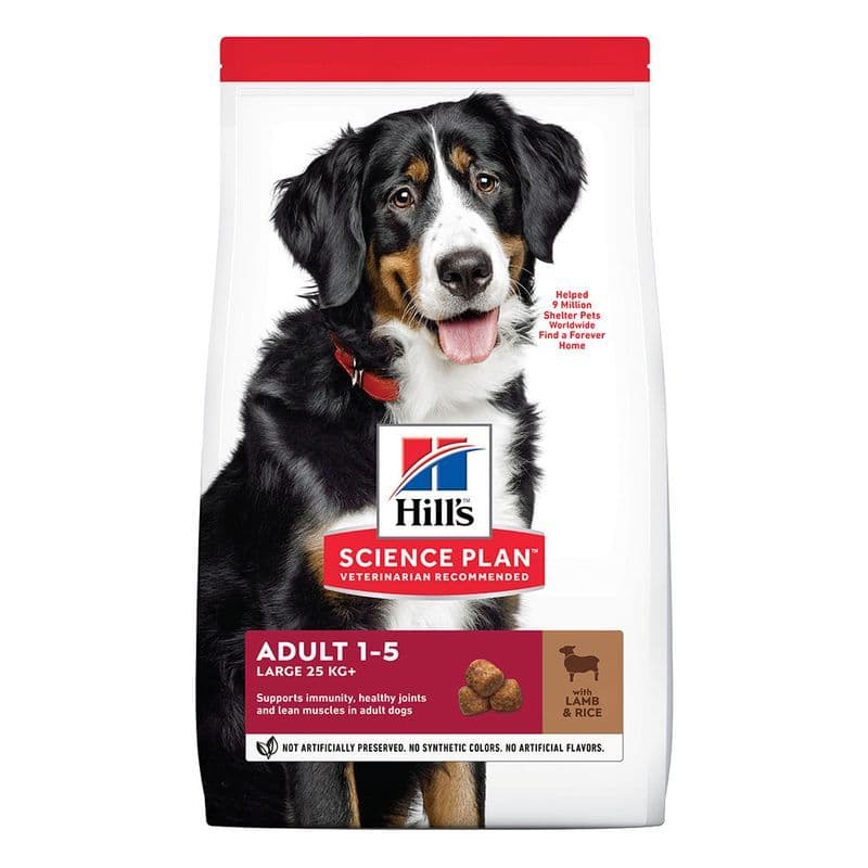 Hill's Science Plan Adult 1–5 Large, z jagnięciną i ryżem